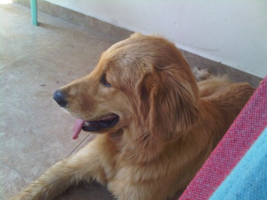 Viendo a su hermano, en la piscina