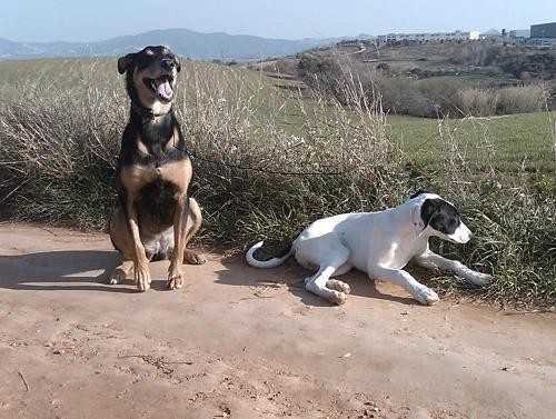 duna y golfo