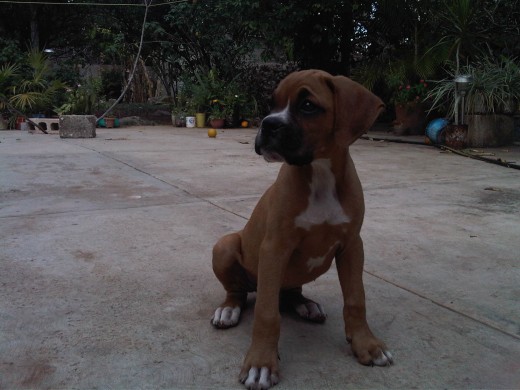 En la  terraza,  presumiendo  su perfil