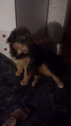 Chuky con pose chulesca jaja