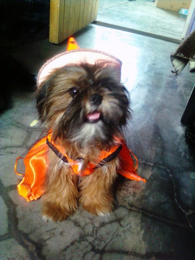 Oh vestida de brujita mi bebe en halloween