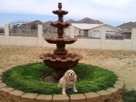 MI BEBE TOMANDO EL SOL!!