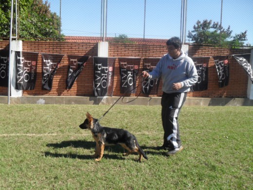 Estaba preparandome para competir por primera ves.