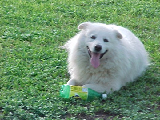 jugando con una botella