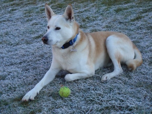 Bayron con su pelota