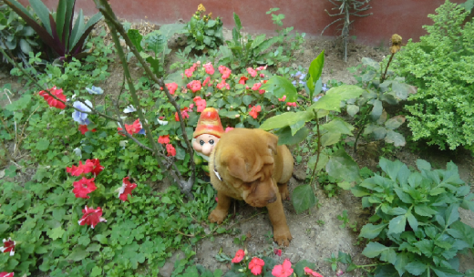 Guliberta con su amigo el duende