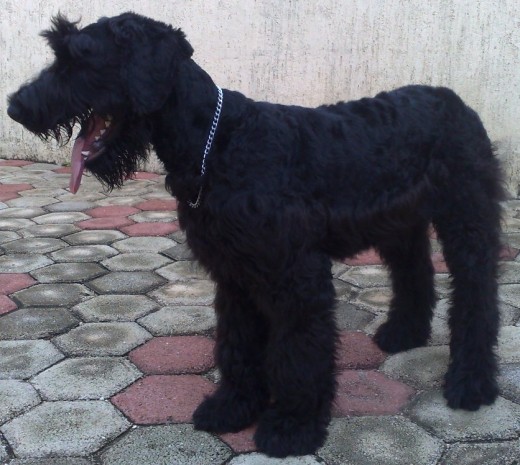 solo posando a sus 6 meses