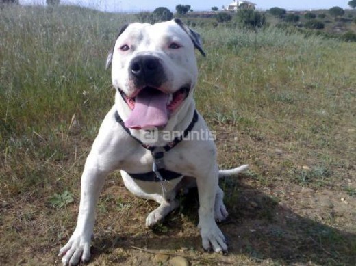 jugando en el campo