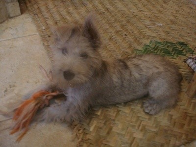 jugando con su muñeca