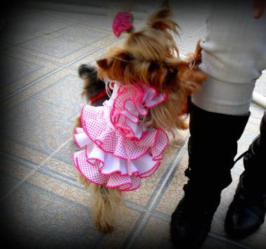 venta de vestidos de gitana para perros y de curro