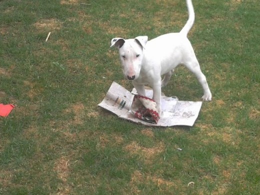 Jugando a destrozar el periodico