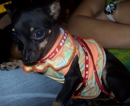 luna con su vestido amarillo