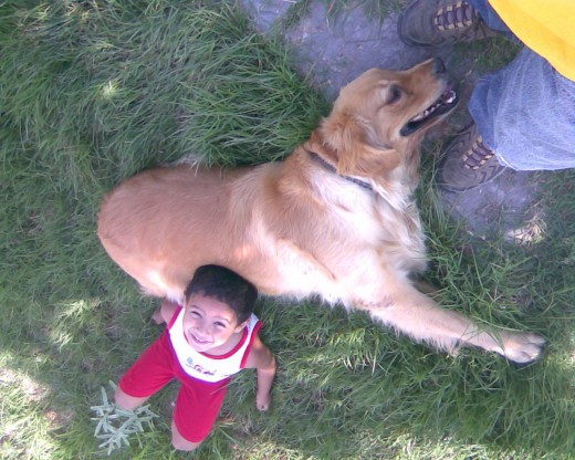 Fiona convive con la familia en el parque, noble y juguetona.