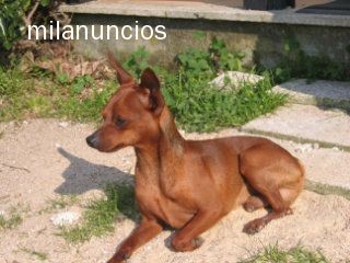 Winny observando en el jardín...