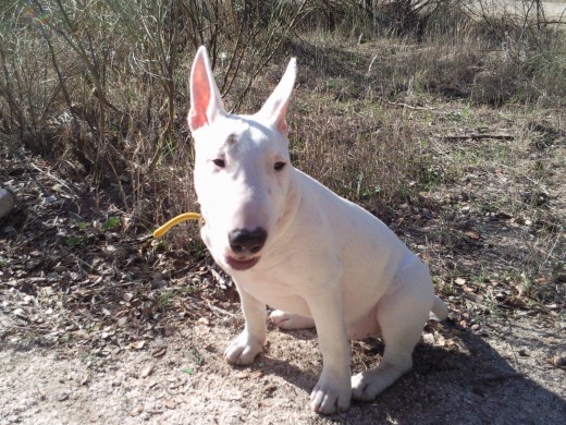 Aqui esta en el campo q le encantaaa!!!