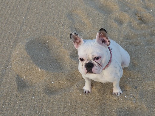 en la playa