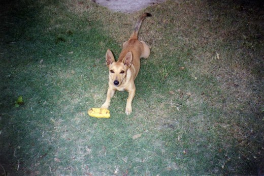 lola con un chiche