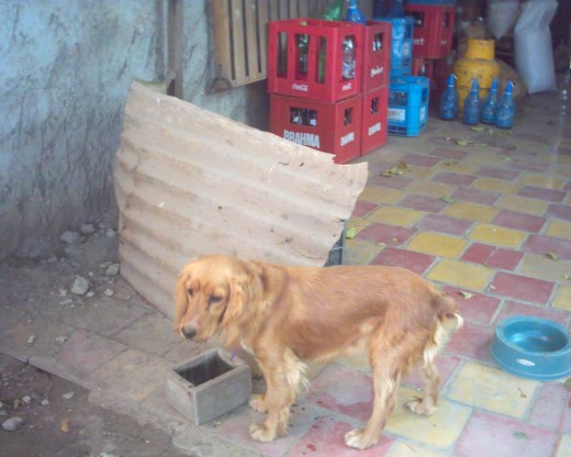 cuando estavan baldeando en el patio de mi casa
ahora estoy acostada en mi cama