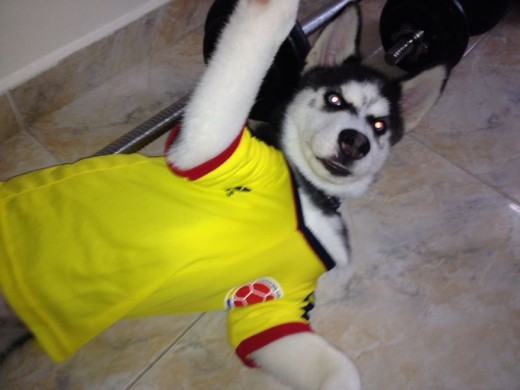 Zeus con 3 meses y medio apoyando la selección