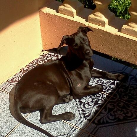 Luna cogiendo sol.