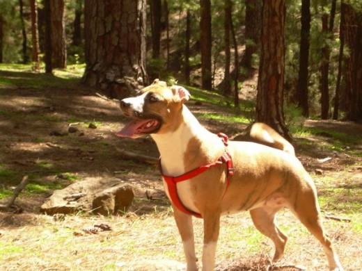 Mara en la montaña, divirtiéndose. Tenía 2 años