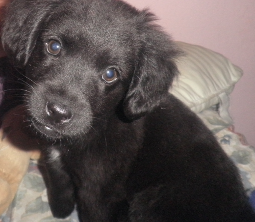 Estaba en Mi Cama,Apunto de irnos a Dormir, y Saque mi Camara & Fotografie su Hermosa cara(: