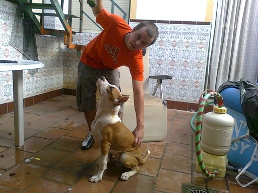 Mi perro y yo