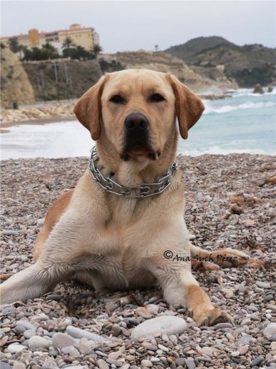 esta foto la hizo una amiga mientras jugaba en la playa