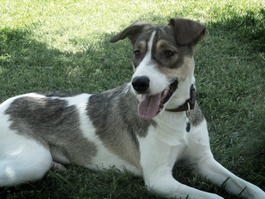 Mel en el parque.