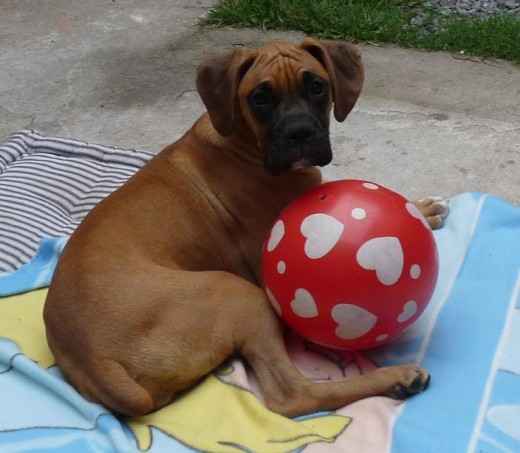 mi pequeña bebe descansando del juego de pelota que tuvo con mi princesa jijijijijiji.