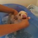 Bañando a Soficita