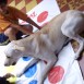 Jugando Twister