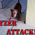 Kyzer