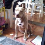 Tayson