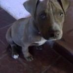 Tayson