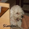 SIMON