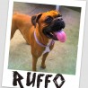 RUFFO