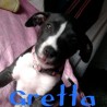 gretta