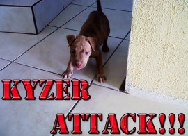 Kyzer