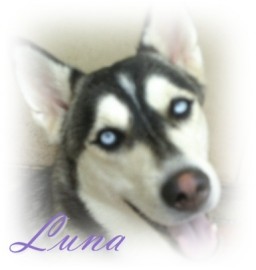 Luna