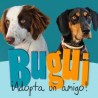 Bugui